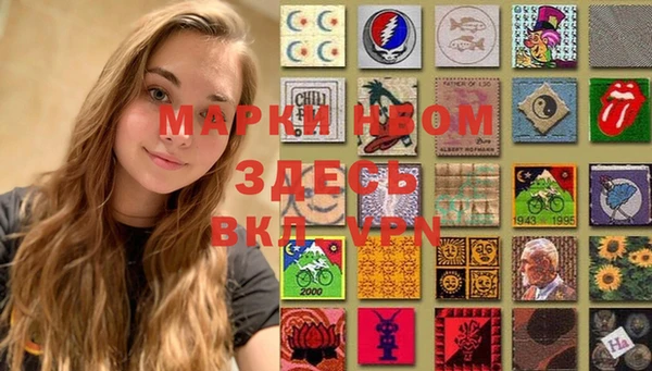 мдпв Алексин