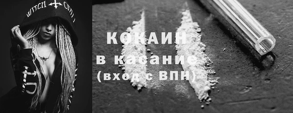 прущий лед Алзамай