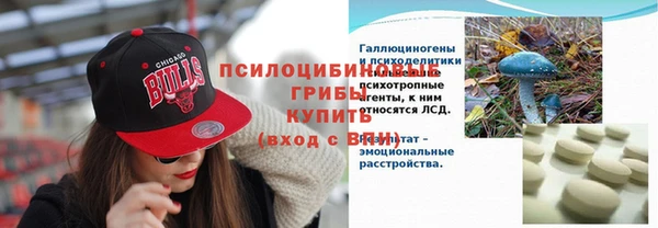 прущий лед Алзамай