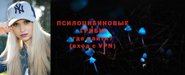 прущий лед Алзамай