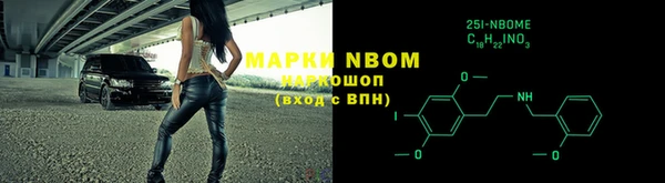 прущий лед Алзамай